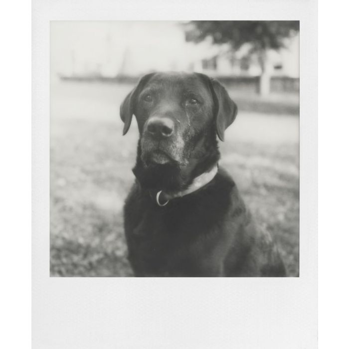 Polaroid B&W SX-70 Film