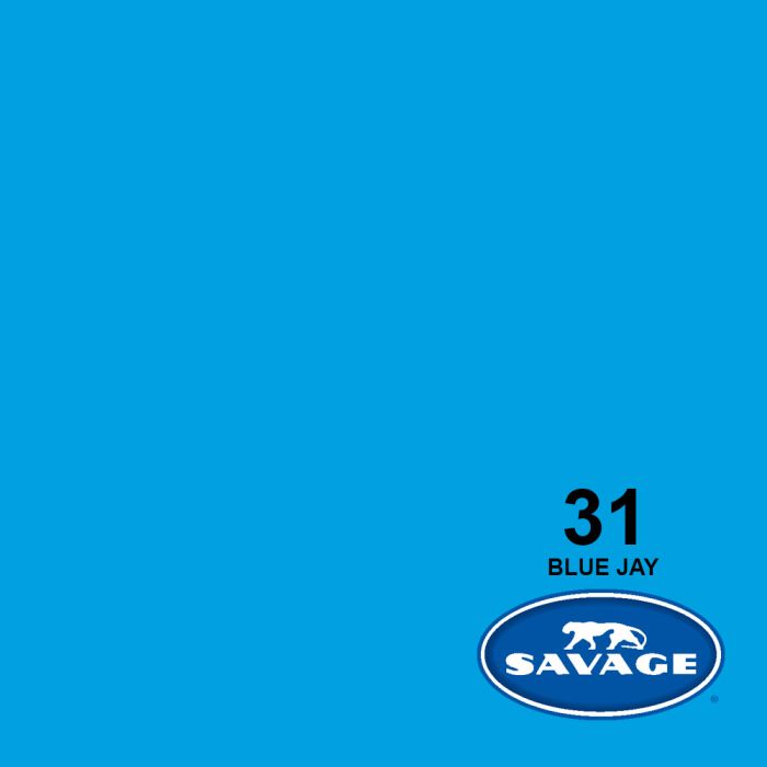 Savage Seamless Background Paper #31 Blue Jay 26"x36'