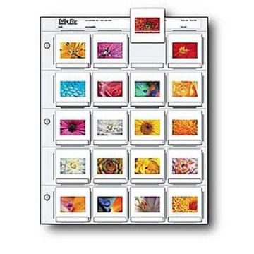Print File 35mm Slide Page (Twenty 2x2" slides - 25 Pack)
