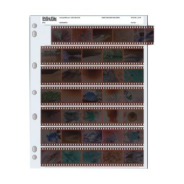 Print File Archival 35mm Negative Pages (5 Frames/7 Strips, 100 Pack)